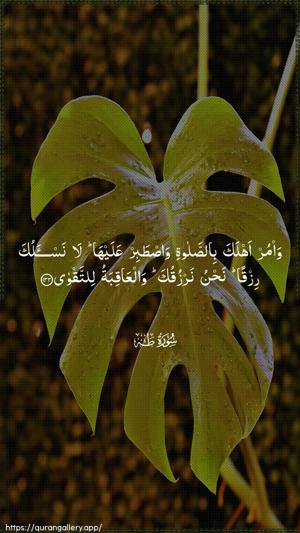 Taa-Haa Ayah 132 - Arabic wallpaper
