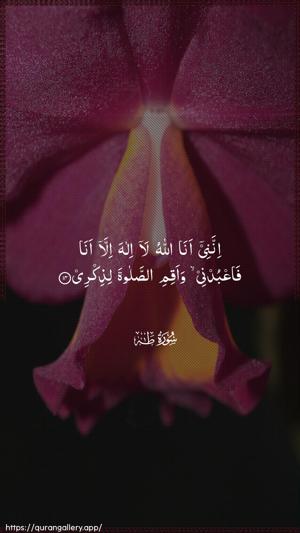 Taa-Haa Ayah 14 - Arabic wallpaper