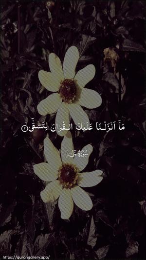 Taa-Haa Ayah 2 - Arabic wallpaper