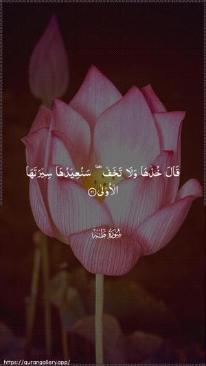 Taa-Haa Ayah 21 - Arabic wallpaper