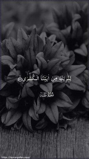 Taa-Haa Ayah 23 - Arabic wallpaper