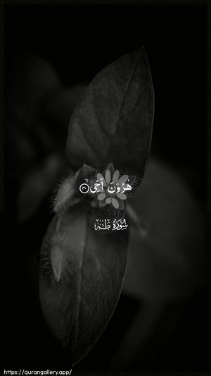 Taa-Haa Ayah 30 - Arabic wallpaper