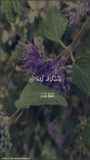 Taa-Haa Ayah 34 - Arabic wallpaper