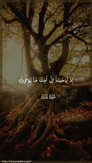 Taa-Haa Ayah 38 - Arabic wallpaper