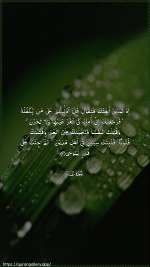 Taa-Haa Ayah 40 - Arabic wallpaper