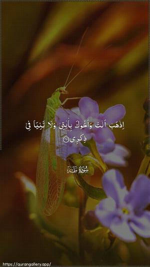 Taa-Haa Ayah 42 - Arabic wallpaper