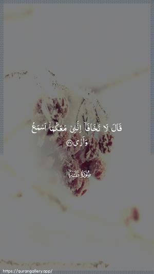 Taa-Haa Ayah 46 - Arabic wallpaper