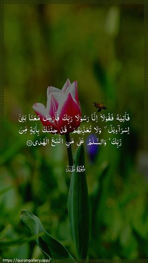 Taa-Haa Ayah 47 - Arabic wallpaper