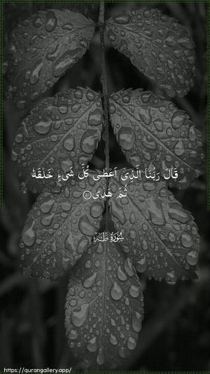 Taa-Haa Ayah 50 - Arabic wallpaper