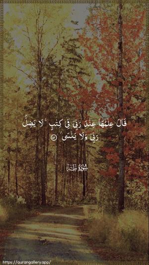 Taa-Haa Ayah 52 - Arabic wallpaper