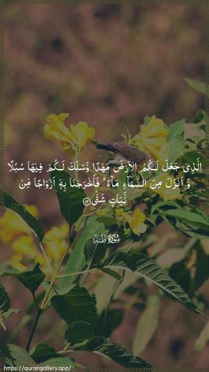 Taa-Haa Ayah 53 - Arabic wallpaper