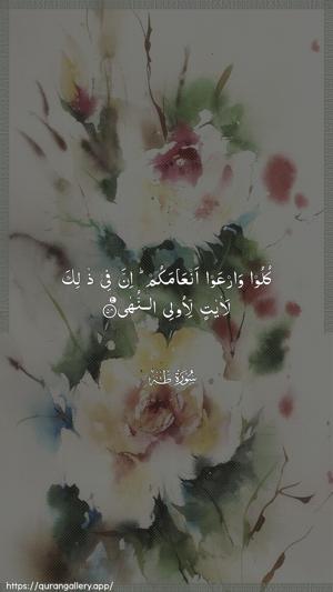 Taa-Haa Ayah 54 - Arabic wallpaper