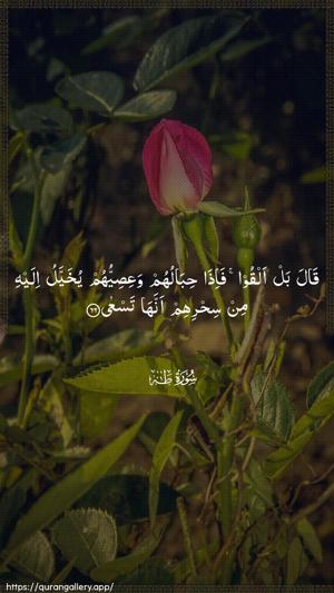 Taa-Haa Ayah 66 - Arabic wallpaper