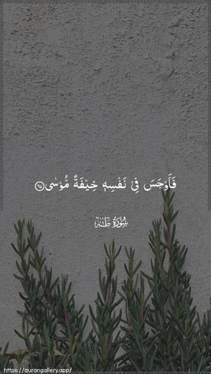 Taa-Haa Ayah 67 - Arabic wallpaper
