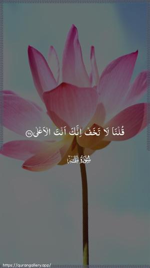 Taa-Haa Ayah 68 - Arabic wallpaper