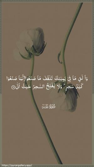 Taa-Haa Ayah 69 - Arabic wallpaper