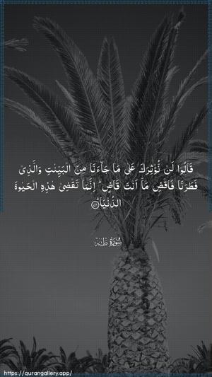 Taa-Haa Ayah 72 - Arabic wallpaper