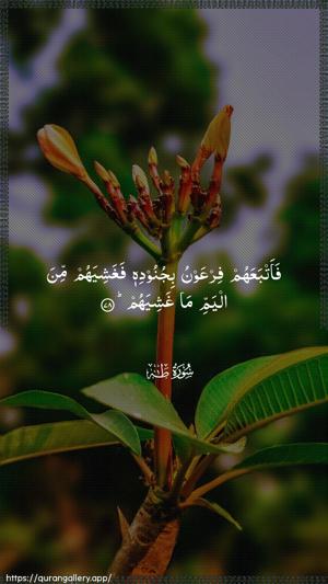 Taa-Haa Ayah 78 - Arabic wallpaper