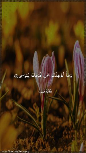 Taa-Haa Ayah 83 - Arabic wallpaper