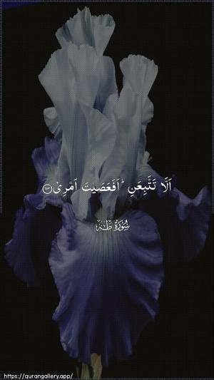Taa-Haa Ayah 93 - Arabic wallpaper