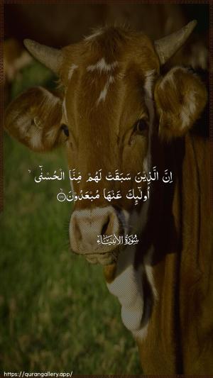 Al-Anbiyaa Ayah 101 - Arabic wallpaper