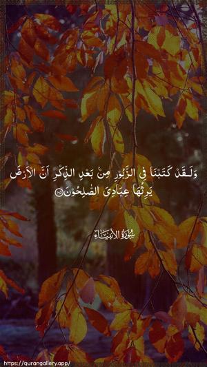 Al-Anbiyaa Ayah 105 - Arabic wallpaper