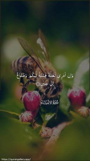 Al-Anbiyaa Ayah 111 - Arabic wallpaper