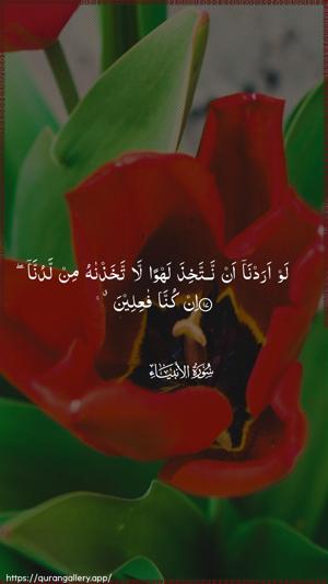 Al-Anbiyaa Ayah 17 - Arabic wallpaper