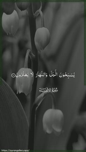Al-Anbiyaa Ayah 20 - Arabic wallpaper