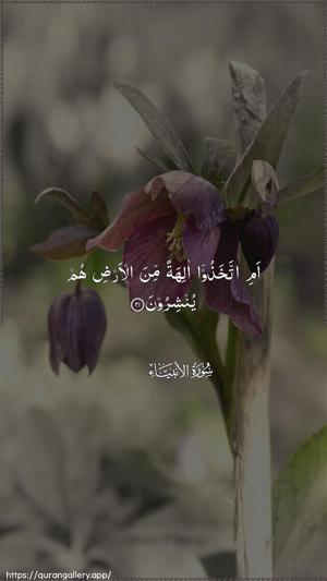 Al-Anbiyaa Ayah 21 - Arabic wallpaper