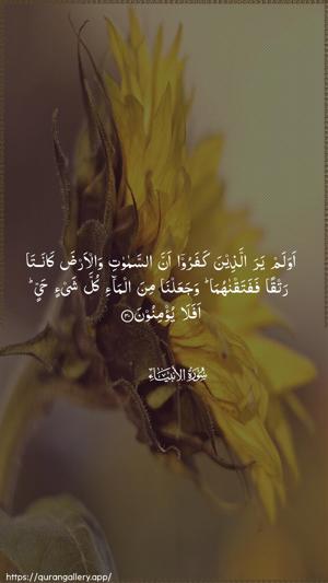 Al-Anbiyaa Ayah 30 - Arabic wallpaper