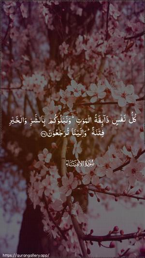 Al-Anbiyaa Ayah 35 - Arabic wallpaper