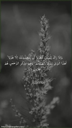 Al-Anbiyaa Ayah 36 - Arabic wallpaper
