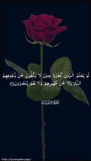Al-Anbiyaa Ayah 39 - Arabic wallpaper