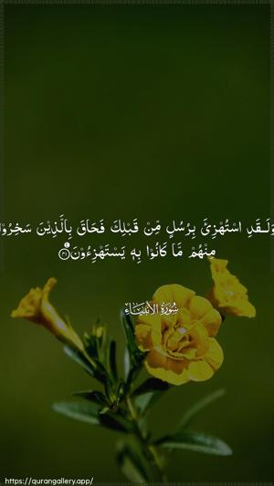 Al-Anbiyaa Ayah 41 - Arabic wallpaper