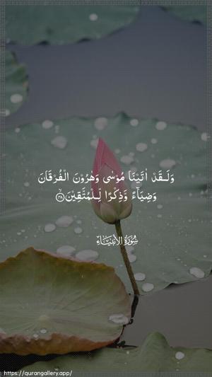 Al-Anbiyaa Ayah 48 - Arabic wallpaper