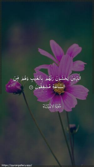 Al-Anbiyaa Ayah 49 - Arabic wallpaper