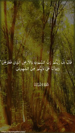 Al-Anbiyaa Ayah 56 - Arabic wallpaper