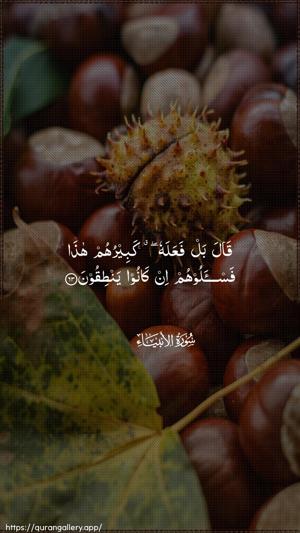 Al-Anbiyaa Ayah 63 - Arabic wallpaper