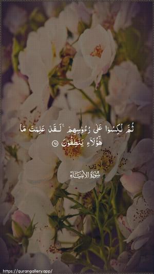 Al-Anbiyaa Ayah 65 - Arabic wallpaper