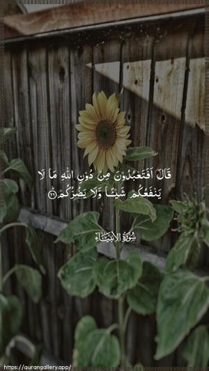 Al-Anbiyaa Ayah 66 - Arabic wallpaper
