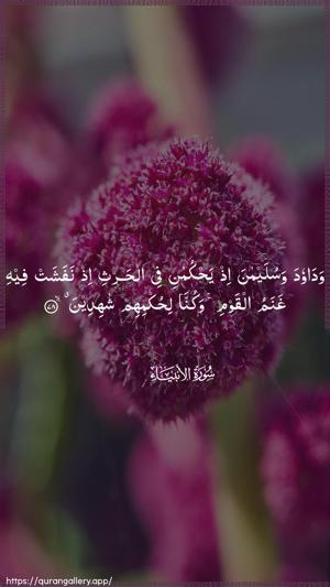 Al-Anbiyaa Ayah 78 - Arabic wallpaper