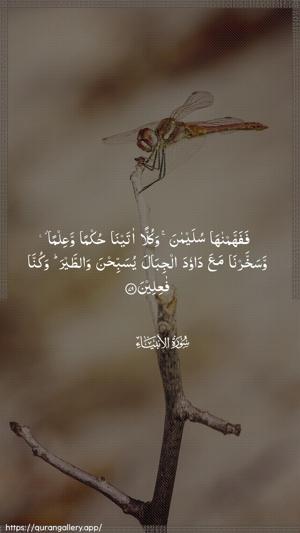 Al-Anbiyaa Ayah 79 - Arabic wallpaper