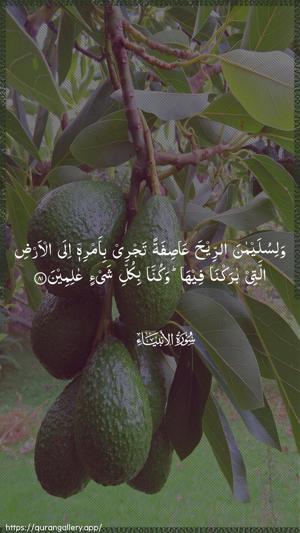 Al-Anbiyaa Ayah 81 - Arabic wallpaper