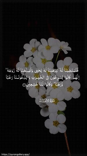 Al-Anbiyaa Ayah 90 - Arabic wallpaper