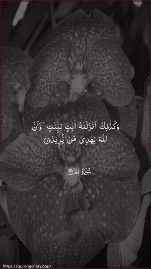 Al-Hajj Ayah 16 - Arabic wallpaper