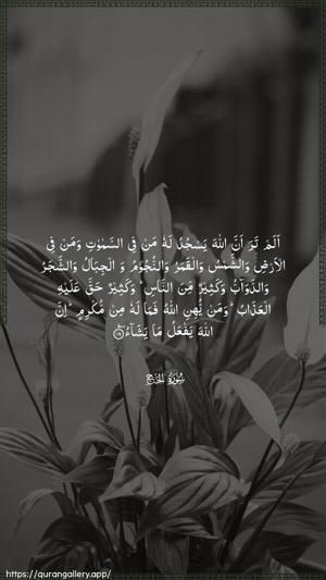 Al-Hajj Ayah 18 - Arabic wallpaper
