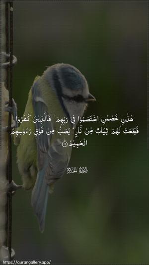 Al-Hajj Ayah 19 - Arabic wallpaper