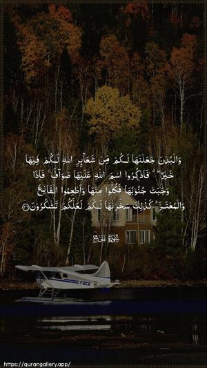 Al-Hajj Ayah 36 - Arabic wallpaper