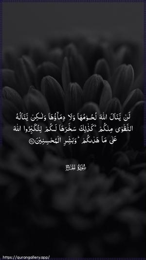 Al-Hajj Ayah 37 - Arabic wallpaper
